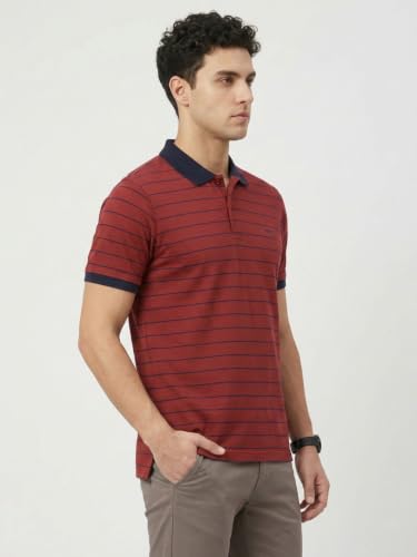 Image of Park Avenue Men Slim Fit Stripe Pattern Pure Cotton Polo Neck Half Sleeve Casual T-Shirt