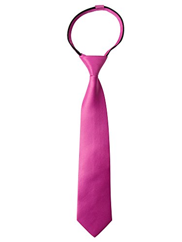 Spring Notion Boys' Satin Zipper Necktie