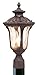 Livex Lighting 7655-58 Oxford 1 Light Imperial Bronze Cast Aluminum Post Head Lantern with Light Amber Water Glass
