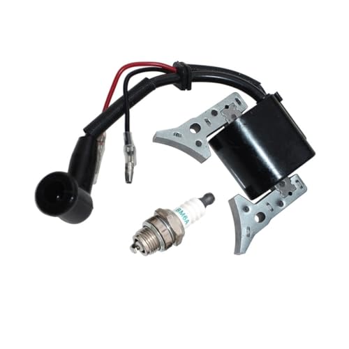 Bobine d'allumage pour entretenir votre jardin avec le GP45