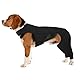 Hundebody Nach Op Body Hund, Wundschutzanzüge für Hunde, Anti-Wundlecken Op Mit Bein, Kniebandage Hund Hinterbein Genesungsanzug für Hundekragen Alternative Schutz Bodysuit (Schwarz, L)