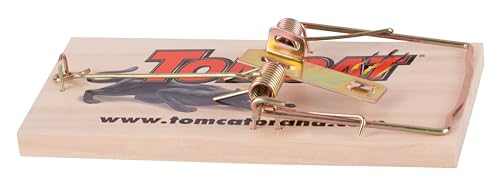 Image of Tomcat Rat Traps (Wooden), Economical, Effective Way to Catch Rats in the Home, 8-Pack