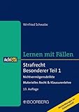 Strafrecht Besonderer Teil 1: Nichtvermögensdelikte - Materielles Recht & Klausurenlehre, Lernen mit Fällen (AchSo!)