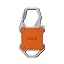 Orange/Silver
