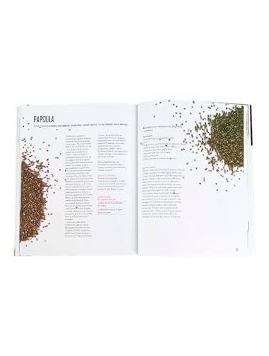 Misturando sabores: Receitas e harmonização de ervas e especiarias