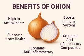 Whole Farm Fresh White Onion, Safed Pyaj for Health and Ayurveda 750g (0.750 Kg) (26.4555 oz)