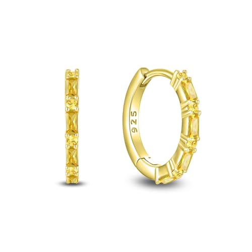 Starchenie Gemstone Huggie Hoop Earrings...