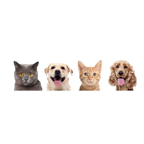 Vinilo Decorativo Lisa para Puerta con Diseño de Gatito miniatura 7