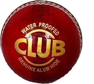 shourya Trader Cricket red Leather Ball
