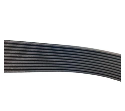 Courroie 205J 8 ribs pour tapis de course et raboteuse - Transmission fluide