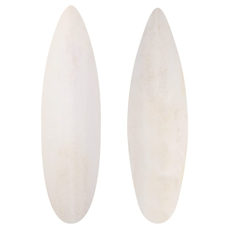 Heyu-Lotus 2 Pcs Bird Cuttlebone Toys,21-25cm Cuttlefish Bone Bird Cuttlebone Toys,Natural Chewing Cuttlefish Bones Parrot Chew Calcium Toy for Pet Parakeets Budgies Tortoises