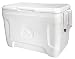 Igloo Marine Contour Cooler, 25 Quart 23 L, White