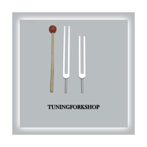 Tuningforkshop C & G Whole Body Tuning Fork Set with Mallet+Pouch+Fast Cover