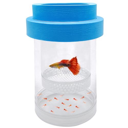 Image of Floating Fish Breeding Isolation Box for Aquarium Tank Plastic Mesh Hatchery Incubator Breeder Box for Baby Fish Betta Shrimp Clownfish Guppy (Blue, Large)