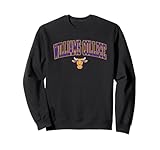 Elite Authentics Williams Ephs Arch Over Unisex Adult Black Solid Letter Print Long Sleeve Crew Neck Classic Fit Sweatshirt