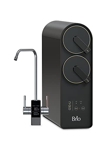 Brio G10-U 500 GPD RO System