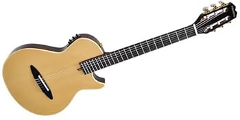 Amazon | PLAYTECH (プレイテック) エレクトリック・ガット