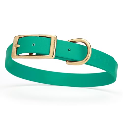 Image of Viper Biothane Heavy Duty Waterproof Dog Collar Strong Coated Nylon Webbing w /Solid Brass Hardware Odor-Proof Easy to Clean High Performance Fits Small Medium or Large Dogs, Teal