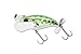 Jack All JPOMP79-GF Pompadour 79 Top Water Frog Bone Lure, Green