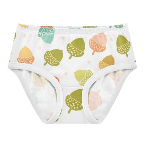 Fancy Toddler Underwear Floral 2t Cotton Girl Panties Cute Colorful Acorn Pastel White Briefs Underpants