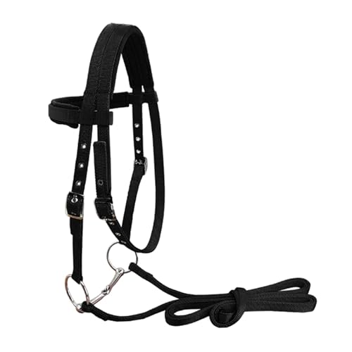 Licol pour chevaux noir taille M avec filet amovible équipement équestre