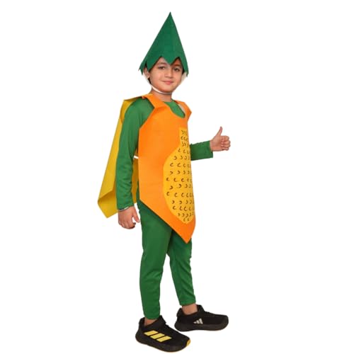 Image of Kaku Fancy Dresses Fruits Costume for Boys & Girls