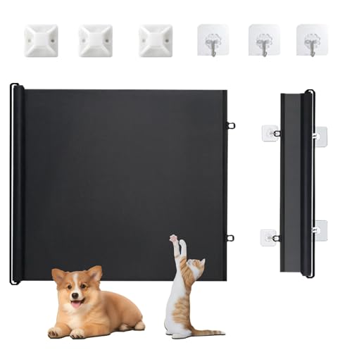 hAEFCp pQ[g - Lp hAQ[g Lk,XN[ tsv StFX ܂肽ݎybgtFX bVhAoA h~hA Z }V L hA q qL L  ybgp(tX,Large)