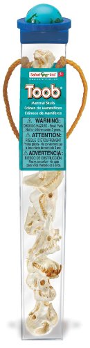 Safari Ltd Mammal Skulls TOOB with the Skulls of a Dolphin, Lion, Rhinoceros, Elephant, Giraffe, Zebra, Gorilla, and Hippopotamus.