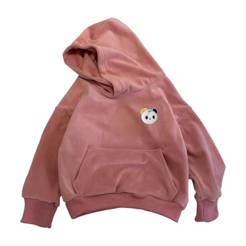 Fall Winter Thick Sweatshirt for Toddler Kids Casual Comfy Soft Hoodie Cute Cartoon Embroidery Pullover Tops Birthday Outfit