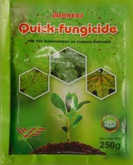 Winners Quick Fungicide 250 Gr