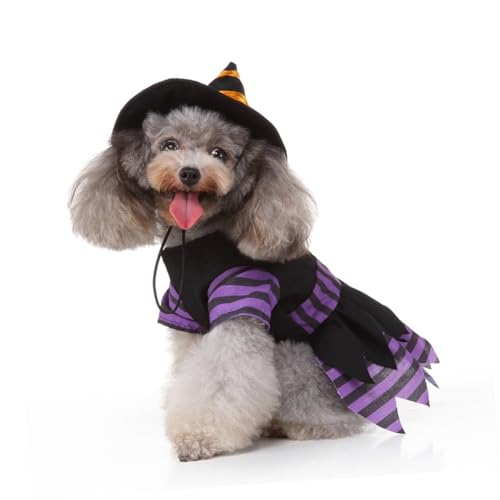 Disfraz de bruja para perro talla L Toddmomy Halloween