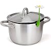 Ototo Steam Escapes Daisy Flower, Green/White