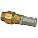 PROFLO PFXBFVG PROFLO PFXBFVG 1" Brass Foot Valve with Stainless Steel Filter