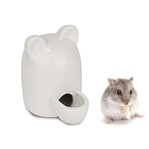 sdfg Cavia waterfles keramiek, hamster keramische automatische waterdispenser, egel waterfles keramiek wit, egel waterfles keramiek, voor egel, cavia, hamster, kat, 300ml