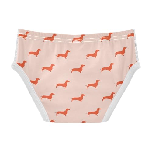 Cotton Little Boys Briefs Dachshund Soft Toddler Underwear2