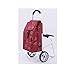 ACYUYC Chariot de Courses Panier Pliable Alliage d'aluminium avec Tabouret Tige à Tige réglable Corde élastique pour la Maison et la Sortie Caddie de Courses Grande Capacité (Color : 3)