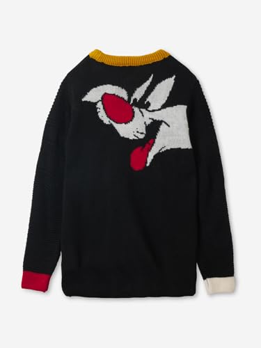 Image of The Souled Store Official Looney Tunes: Sylvester and Daffy Long Sleeve Round Neck Black Printed Boys Sweaters