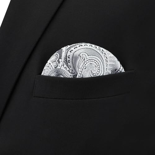 Shlax&Wing Paisley Grey Silver Handkerchieves Mens Neckties Hanky Pocket Square