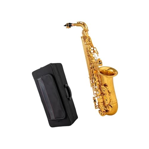 SҗpTbNX vtFbVi E AgTbNXiP[XEANZT[tj