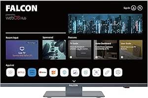Falcon 19 Zoll WebOS SMART TV WLAN Camping Fernseh, 12V/24V/240V Fernseher mit DVD Player integriert und Receiver, Bluetooth 5.0, Sprachsteuerung, Appsteuerung, Streaming IPTV Netflix YouTube DAZN