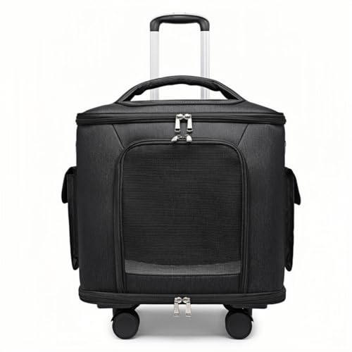 NYHGOXM ÉLX^[tybgL[obO bNp e ʋCbV EVΉ Œ܏ɋ Lp 2C܂Ŏe\ v[gɍœK (ubN)