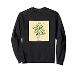 Elderflower Plant In Pot Cottagecore Hearts Merch