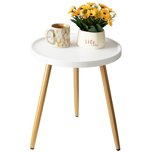 danpinera Small Round Side Table, Mini White Table with Wooden Tray & Metal Legged, Gold Side Table for Small Space, Living Room, Bedroom, Nursery, 14.96" D x 14.96" W x 17.52" H, White & Gold