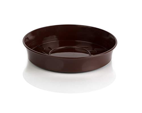 Kimmel Untersetzer für Blumentopf Grünpflanze Pflanztopfuntersetzer Ø 8 cm, Braun
