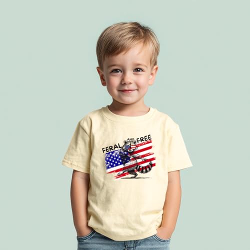 Image of Boys Constitution Day 250 Anniversary USA Shirt Independence Shirt 3-8T | for Kids Boys Girls Toddlers 3T-8T, 4th of July Dinos Flag Patriotic Tee, Independence Day