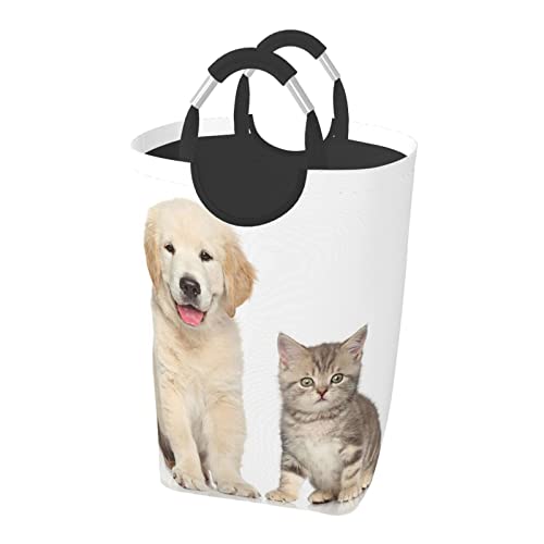 Lƌ S[f h[oXPbg {bNX [obO e ܂ݎ ^  nht y ȃXy[X  K ze [eBeB[ gC Lb`(50l 32*28*57.5cm)