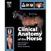 Clinical Anatomy of the Horse, 1e