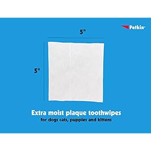 Petkin Cat and Dog Dental Wipes, 40 Wipes (Fresh Mint) - Natural Formula Cleans Teeth, Gums & Freshens Breath - for Daily Use - Convenient Dog Dental Care - 1 Pack of 40 Wipes Petkin Cat and Dog Dental Wipes, 40 Wipes (Fresh Mint) – Natural Formula Cleans Teeth, Gums & Freshens Breath – for Daily Use – Convenient Dog Dental Care – 1 Pack of 40 Wipes