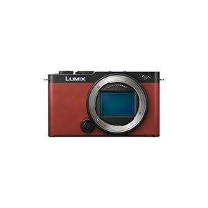 Panasonic Lumix DC-S9E-R Kompakte Systemkamera