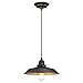 Westinghouse 6344700 Iron Hill One-Light Indoor Pendant, Oil Rubbed Bronze Finish with Highlights Industrial Iron Hill One-Light Indoor Pendant, Oil Rubbed Bronze Finish with Highlights